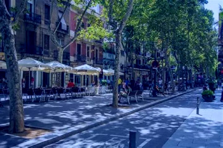 Rose, 21 — Escort in Barri de Sant Andreu, Spain