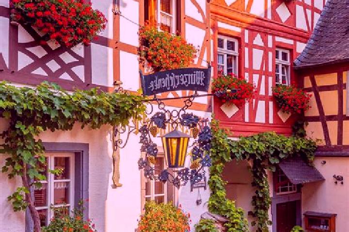 Rose, 21 — Escort in Budlich, Germany