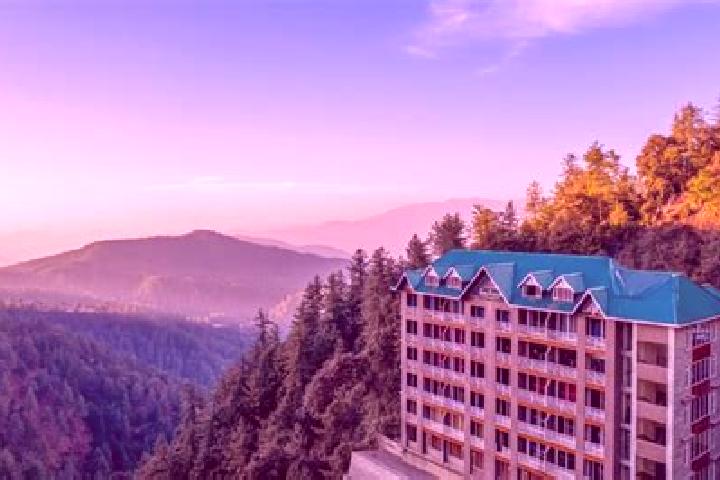 Rose, 21 — Escort in Chail, India