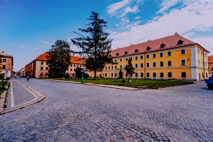 Rose, 21 — Escort in Josefov, Czech Republic
