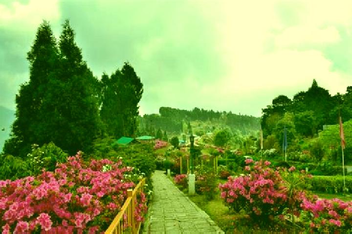 Rose, 21 — Escort in Kalimpong, Kruketi, India