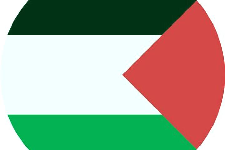 Rose, 21 — Escort in Misliyah, Palestine