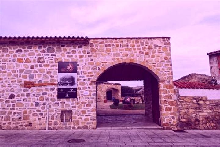 Rose, 21 — Escort in Ortacesus, Italy