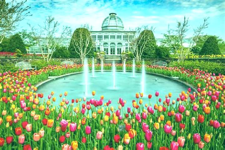 Rose, 21 — Escort in Pleasant View Gardens, United States