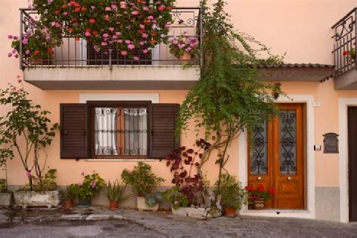 Rose, 21 — Escort in Trecchina, Italy