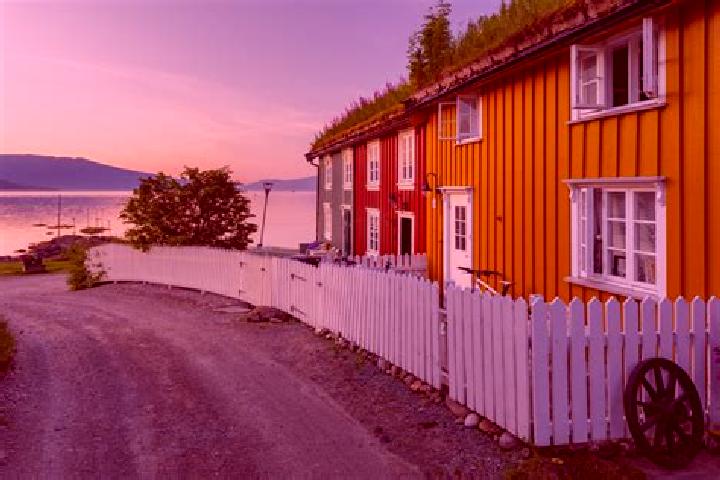 Rose, 21 — Escort in Ursviken, Sweden