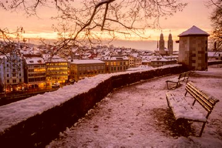 Rose, 21 — Escort in Zuerich (Kreis 1) / Lindenhof, Switzerland