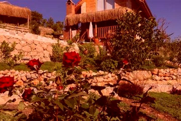 Rose, 22 — Escort in Ambar, Turkey