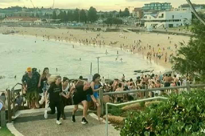 Rose, 22 — Escort in Bondi Beach, Australia