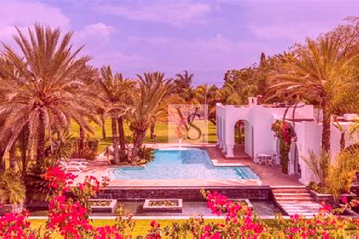 Rose, 22 — Escort in Douar Toulal, Morocco