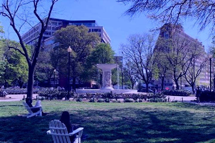 Rose, 22 — Escort in Dupont Circle, United States