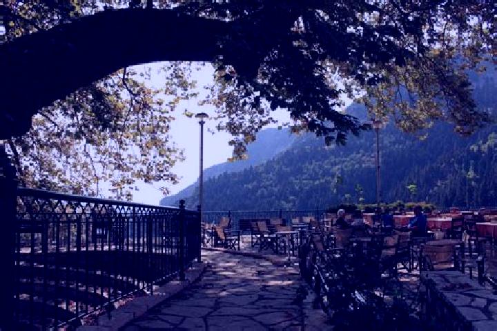 Rose, 22 — Escort in Elati, Greece