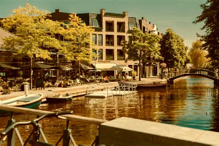 Rose, 22 — Escort in Gouwsluis, Netherlands