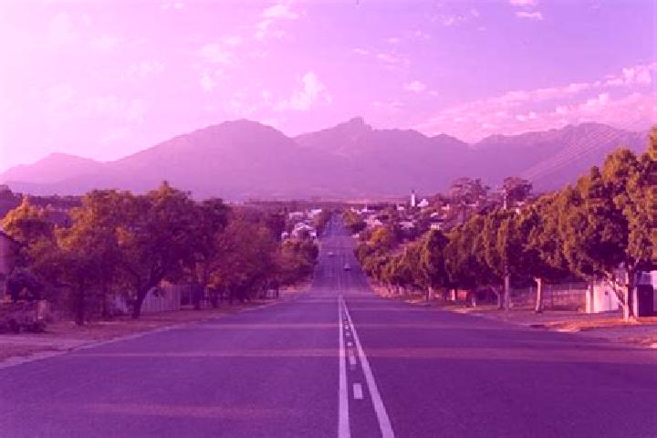 Rose, 22 — Escort in Tulbagh, South Africa
