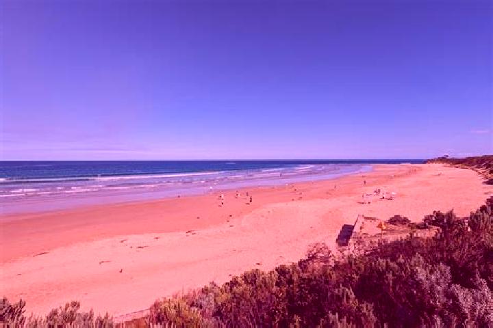 Rose, 23 — Escort in Anglesea, Australia
