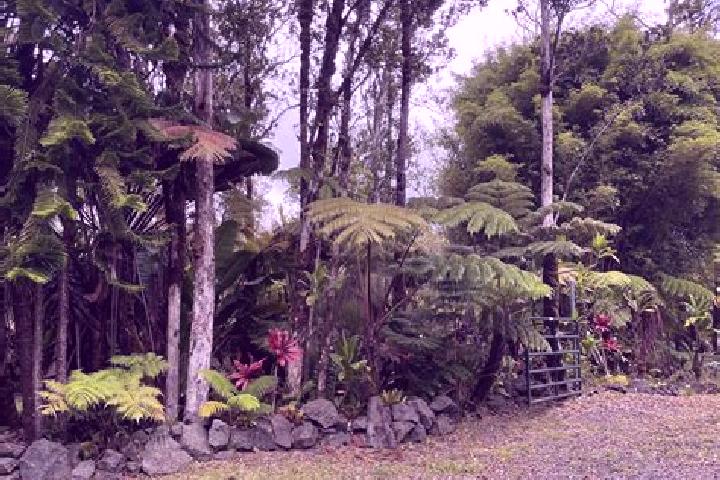 Rose, 23 — Escort in Fern Forest, United States