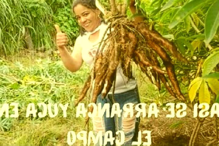 Rose, 23 — Escort in La Yuca, Venezuela
