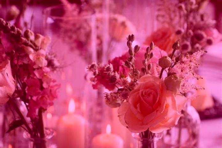 Rose, 23 — Escort in Meadow Glade, United States