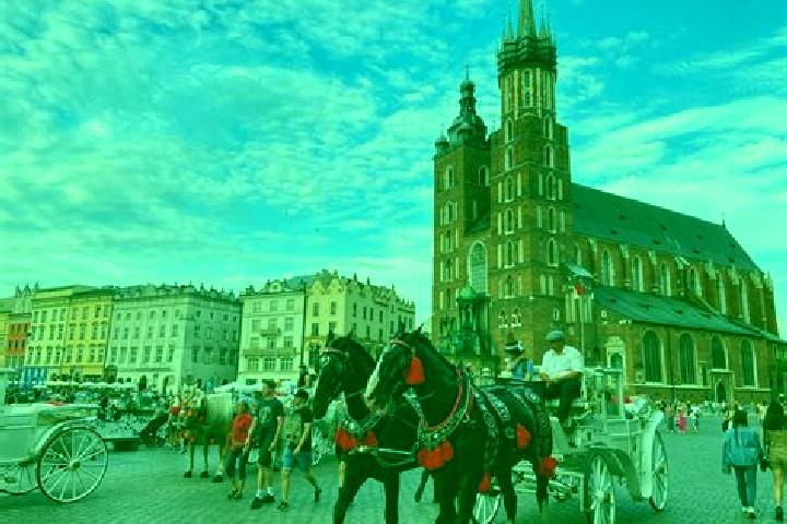 Rose, 23 — Escort in Ogrodzona, Poland