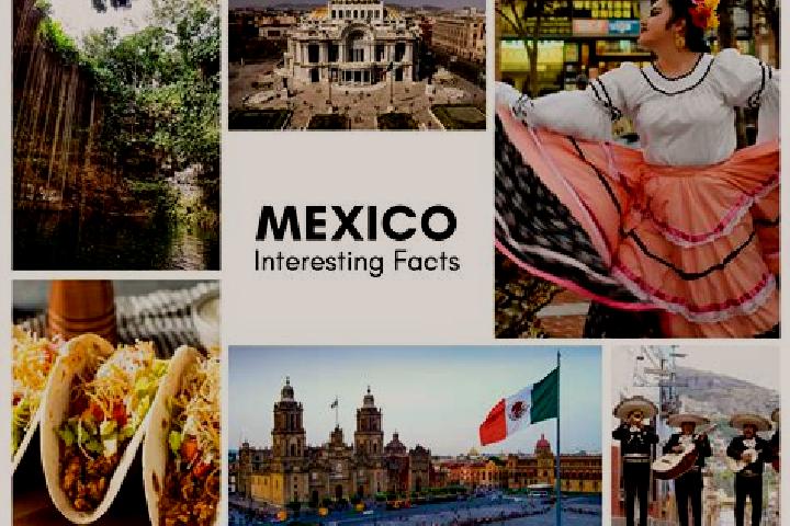 Rose, 23 — Escort in Texcapa, Mexico