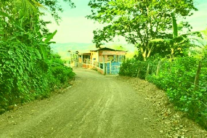 Rose, 23 — Escort in Wiwili, Nicaragua