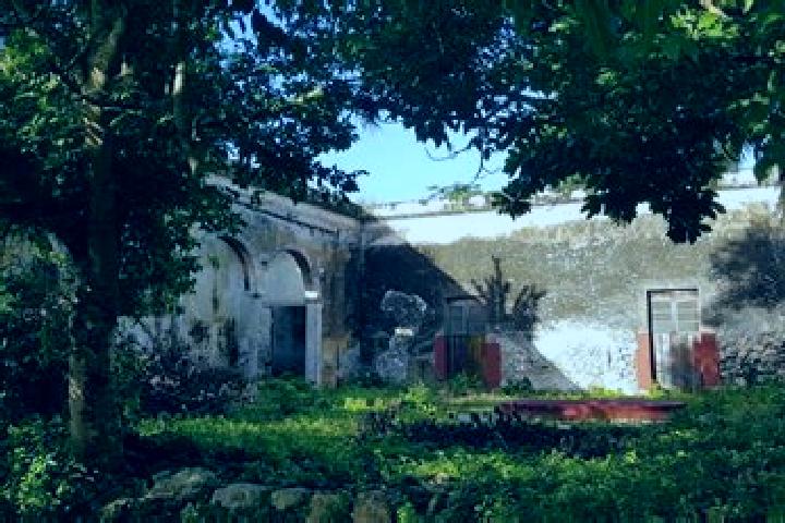 Rose, 23 — Escort in Xcunya, Mexico