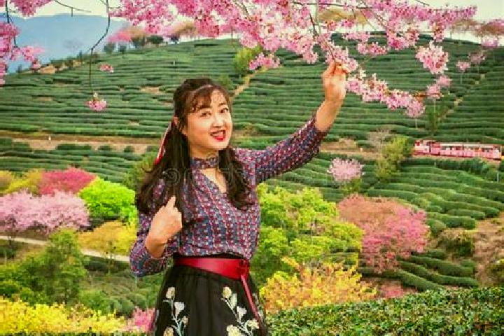 Rose, 23 — Escort in Yongfu, China