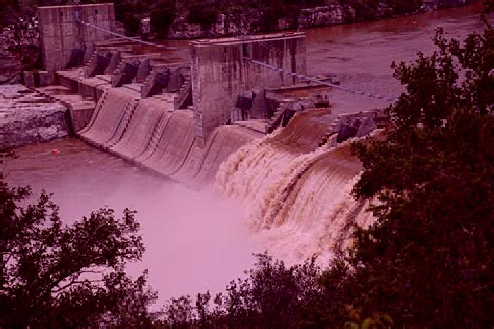 Rose, 24 — Escort in Buchanan Dam, United States