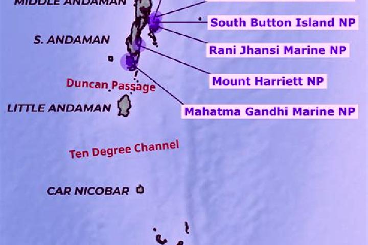 Rose, 24 — Escort in Campbell Bay, India