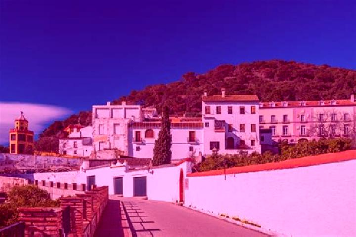 Rose, 24 — Escort in Carratraca, Spain