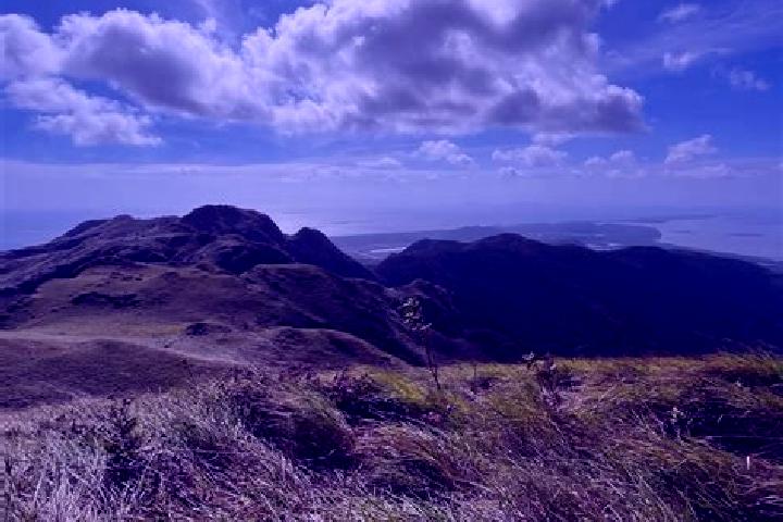 Rose, 24 — Escort in Cerro Venado, Panama