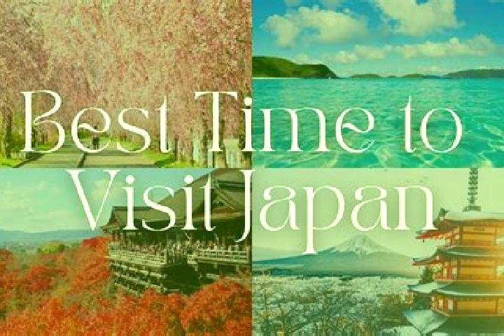 Rose, 24 — Escort in Fukayacho, Japan