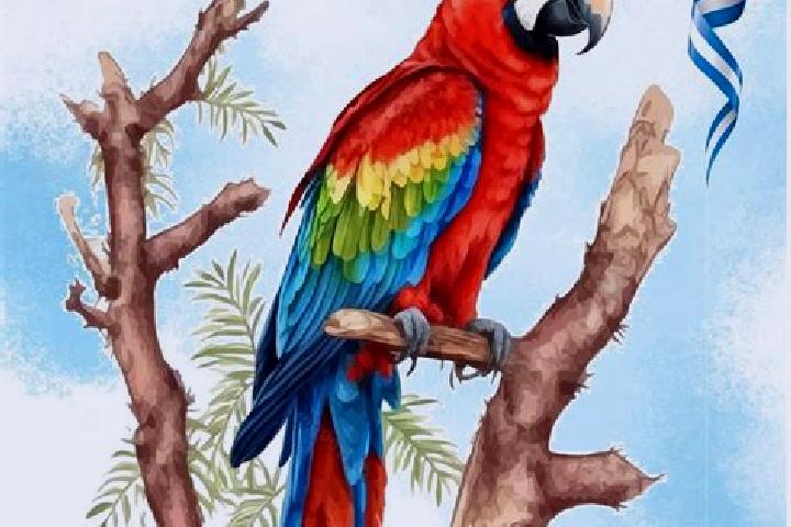 Rose, 24 — Escort in Guacamaya, Honduras