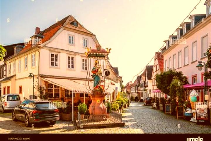 Rose, 24 — Escort in Hochheim am Main, Germany