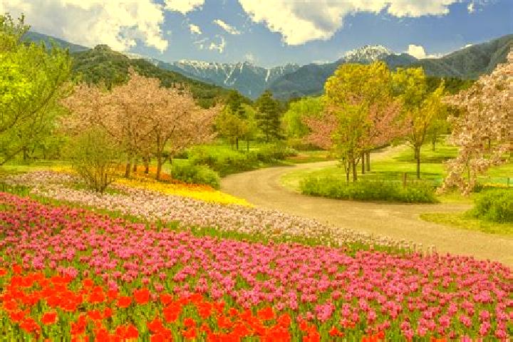 Rose, 24 — Escort in Omachi, Japan