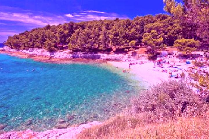 Rose, 24 — Escort in Presika, Croatia