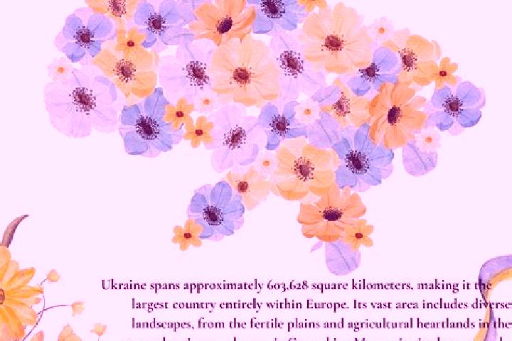Rose, 24 — Escort in Verkhnia, Ukraine