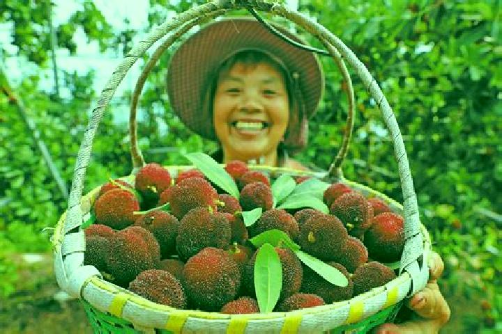 Rose, 24 — Escort in Yangmei, China