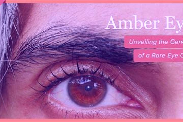 Rose, 25, a red amber-eyed indian companion based in Baspinar. Offering Dinner Date, Striptease, Deep French Kissing, Fetish. Available for incall and outcal...