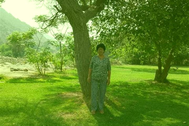 Rose, 25 — Escort in Ayaviri, Peru