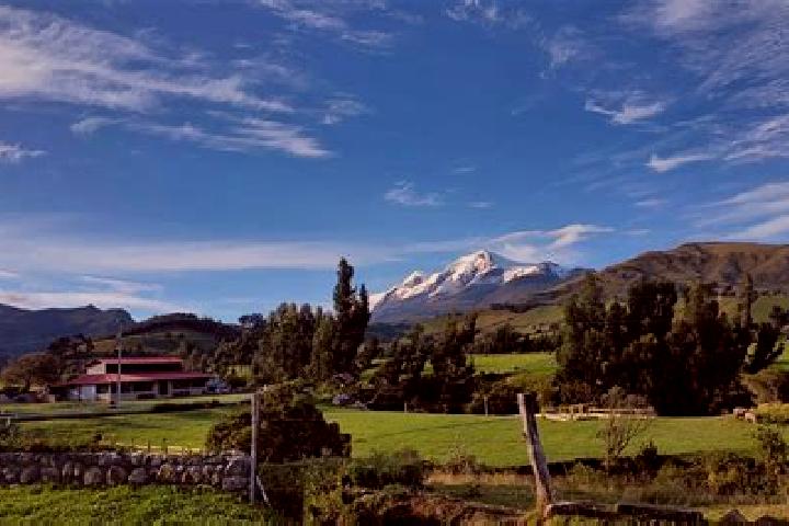 Rose, 25 — Escort in Cuellaje, Ecuador
