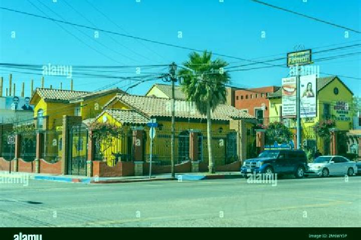 Rose, 25 — Escort in Los Algodones, Mexico