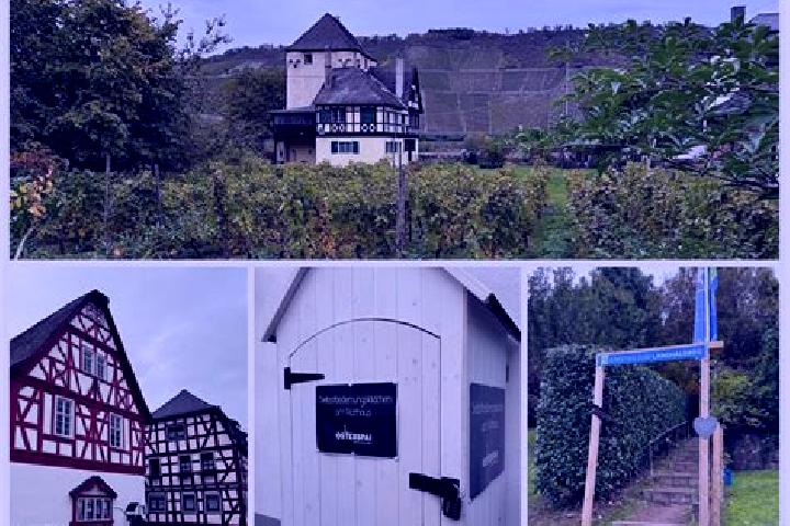 Rose, 25 — Escort in Osterspai, Germany
