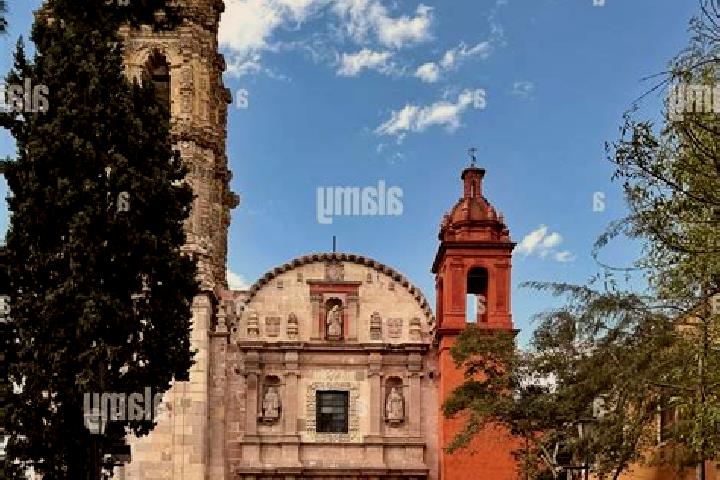 Rose, 25 — Escort in San Agustin, Mexico
