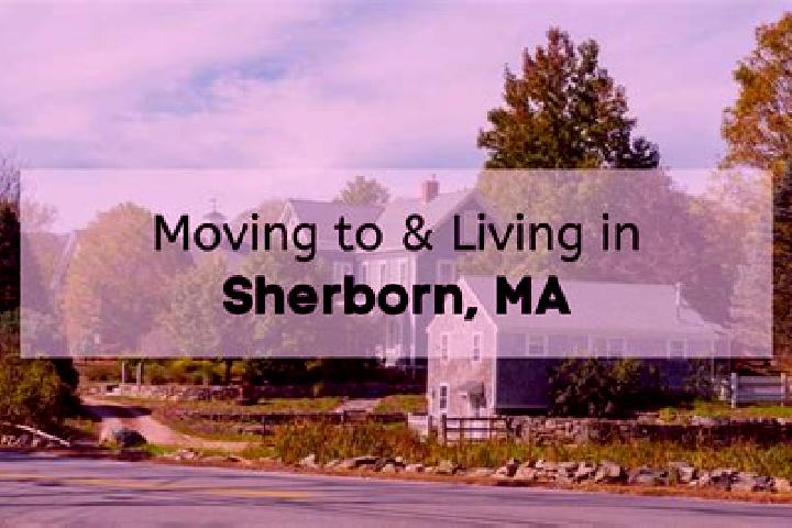 Rose, 25 — Escort in Sherborn, United States