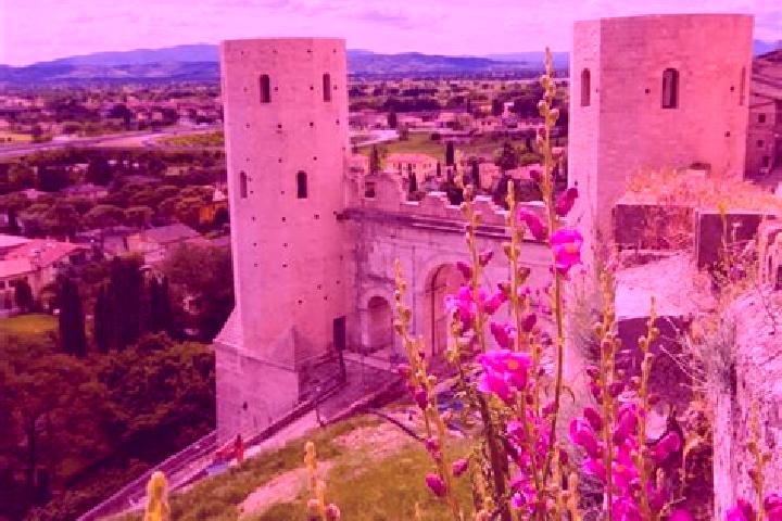 Rose, 25 — Escort in Spello, Italy