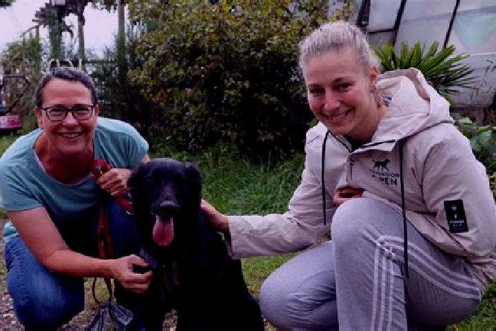 Rose, 25 — Escort in Testorf-Steinfort, Germany