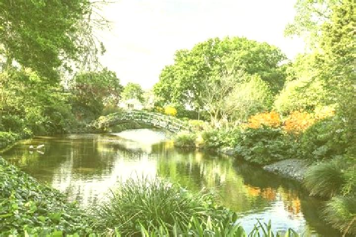 Rose, 25 — Escort in Woodlands Park, New Zealand