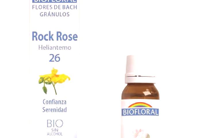 Rose, 26 — Escort in Fiennes, France
