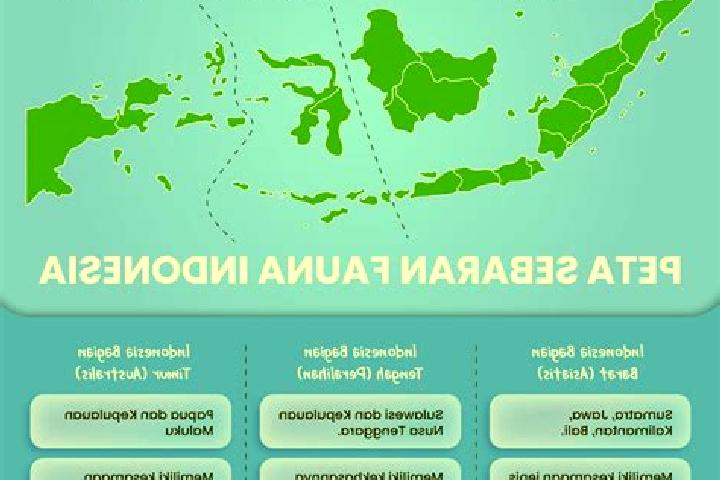 Rose, 26 — Escort in Gumuk Tengah, Indonesia